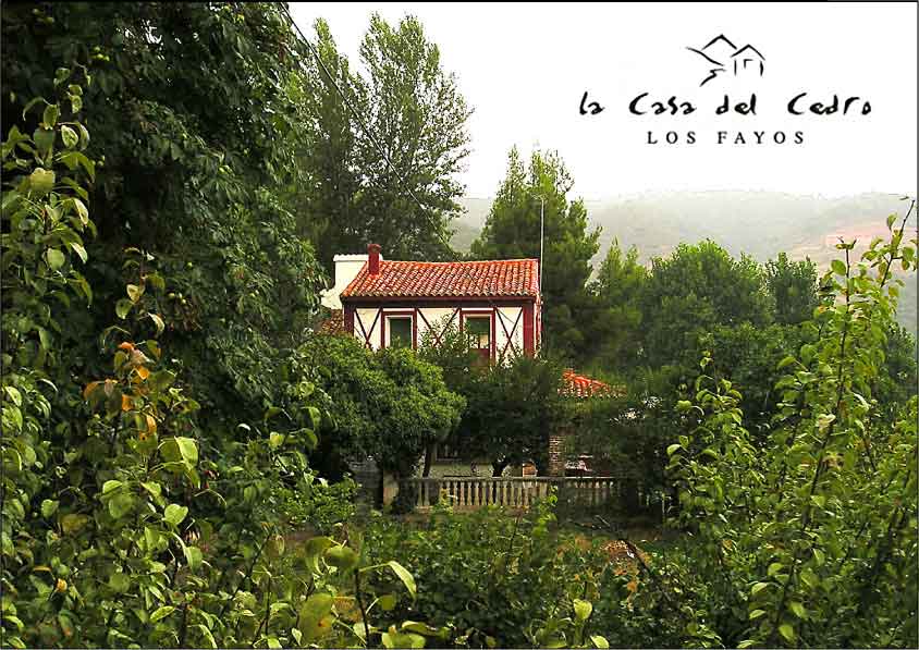 Casa del Cedro